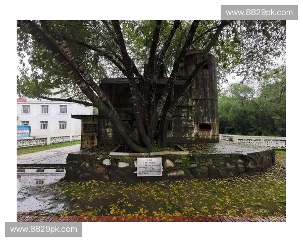 飞狐重生之路:揭秘Dota2英雄飞狐背后的设计与战斗技巧